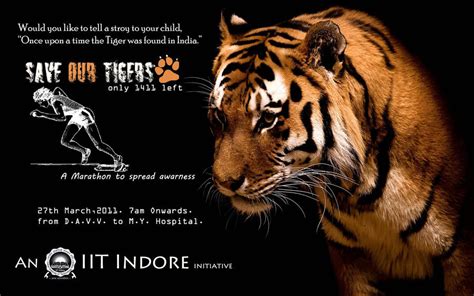 Save Tiger Marathon Poster by vkb0310 on DeviantArt