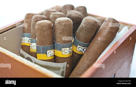 Box of Cohiba Cuban cigars Stock Photo - Alamy