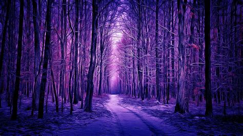 HD wallpaper: purple landscape, purple forest, forest path, woods, woodland | Wallpaper Flare