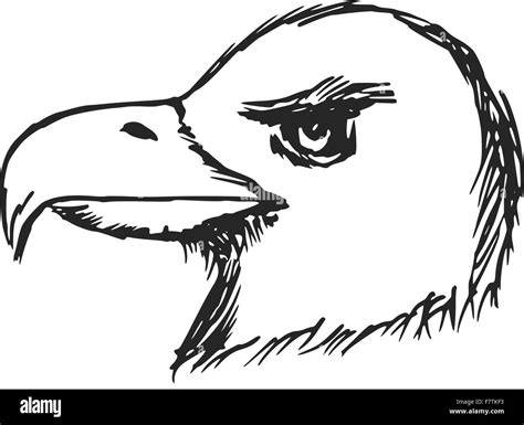 Cartoon eagle Black and White Stock Photos & Images - Alamy