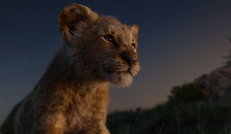 Download Simba Movie The Lion King (2019) HD Wallpaper