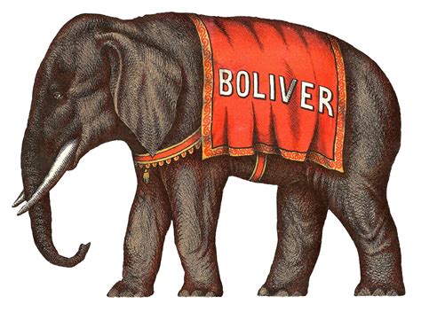 Antique Images: Antique Circus Animals Image Bear Camel Elephant Download