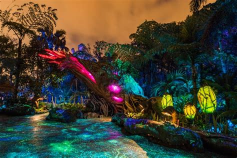 Disney Parks After Dark: Pandora – The World of Avatar Comes To Life At ...