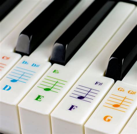 Color Piano Stickers for 49/61/ 76/88 Key Keyboards Transparent and Removable: Made in USA - Etsy