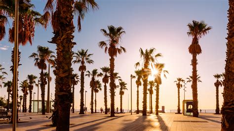 17 Best Beaches in Barcelona | Condé Nast Traveler