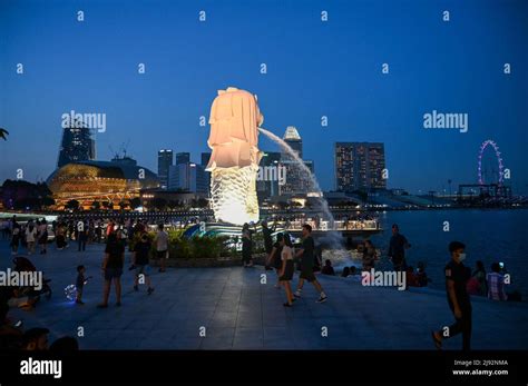 Merlion Park, a iconic statue in Singapore at Night. Merlion is a mythical creature with a lion ...