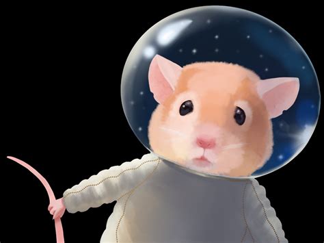 NASA just launched 20 mice into space on a SpaceX rocket while their identical twins stay on ...