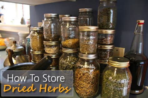 How To Store Dried Herbs & Spices