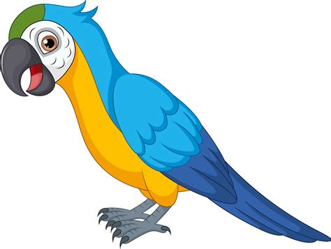 Cute macaw cartoon on white background 12706903 Vector Art at Vecteezy