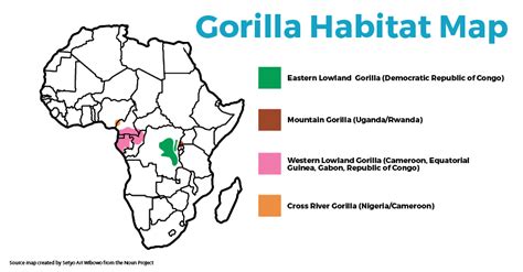 Gorilla Habitat Map | See The Wild