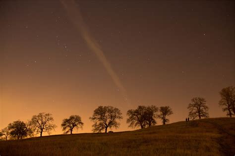 Stars,sky,night,trees,grass - free image from needpix.com