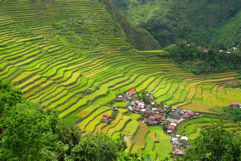 Photos that will make you want to visit Banaue Rice Terraces