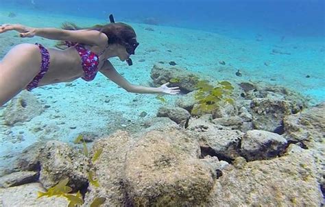 CARIBBEAN SNORKELING - EcoCuba Pro Best Snorkeling Tour in Cuba