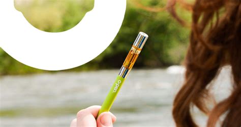 Your Guide to THC Oil Cartridges in 2022