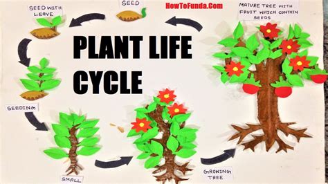 It Life Cycle Model