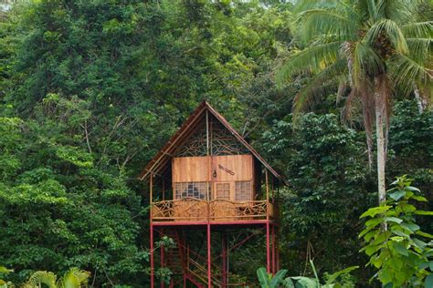 Rainforest Tree House w Hot Springs - Treehouses for Rent in Cooper | Luxury tree houses, Tree ...