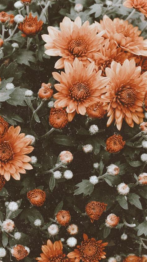 Aesthetic Floral HD Wallpapers - Wallpaper Cave