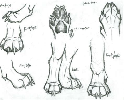 Resultado de imagen para wolf paws drawing Dog Paw Drawing, Wolf ...