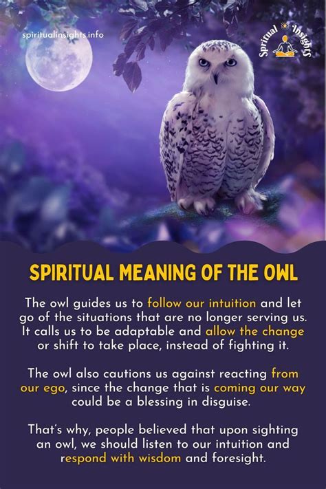 Spiritual Meaning of the Owl | Animal spirit guides, Owl spirit animal, Spirit animal meaning