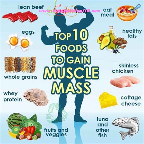 how to gain muscle diet Muscle foods mass gain healthy fitness tips lean diet bodybuilding ...