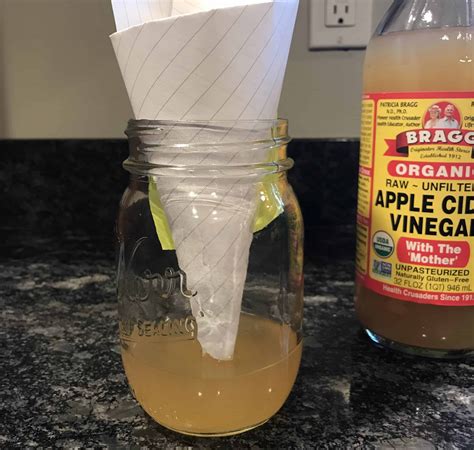 how to get rid of fruit flies with apple cider vinegar Top 23 apple cider vinegar fruit fly trap