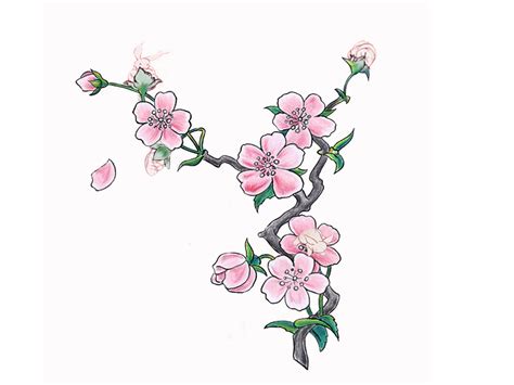 Simple Cherry Blossom Drawing at GetDrawings | Free download