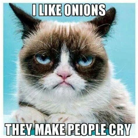 I like onions, they make people cry. | Grumpy cat, Grumpy cat humor, Cat memes