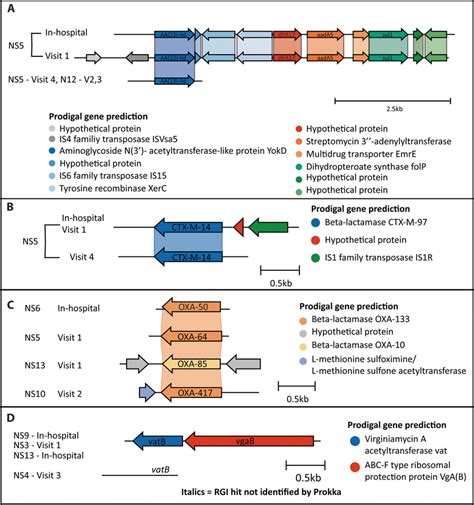 Genetic context of AMR gene families unique to NS infants. From the de... | Download Scientific ...