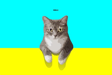 Yellow Cat Wallpapers - Wallpaper Cave