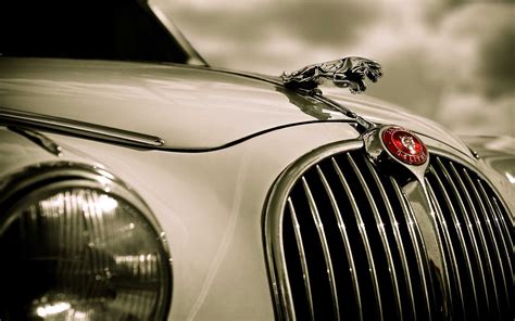 Closeup photography of white Jaguar car HD wallpaper | Wallpaper Flare