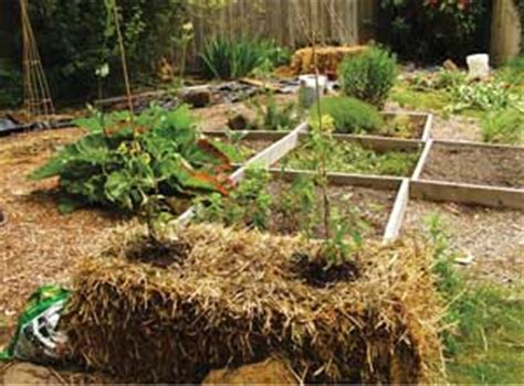 Hay Bale Gardening | Center for Excellence in Disabilities