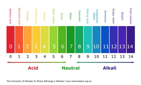 Basic On The Ph Scale