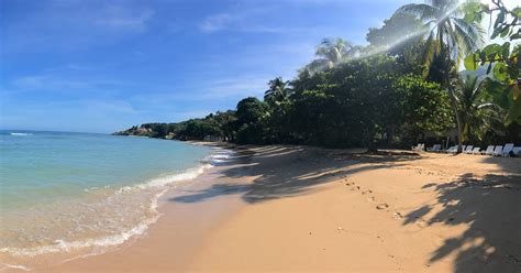 Haiti Beaches / Kokoye beach | Haiti beaches, Caribbean travel, Travel ... - See reviews and ...