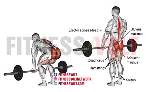 Barbell Deadlift Exercise Guide: How To, Benefits, and Muscles Worked