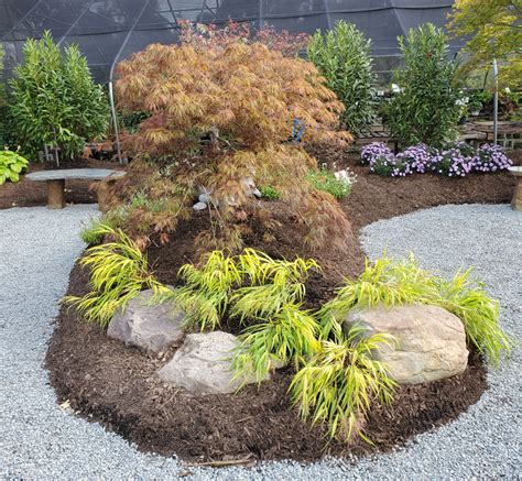 Japanese Maple Show and Teaching Garden – Down to Earth Living - Garden ...