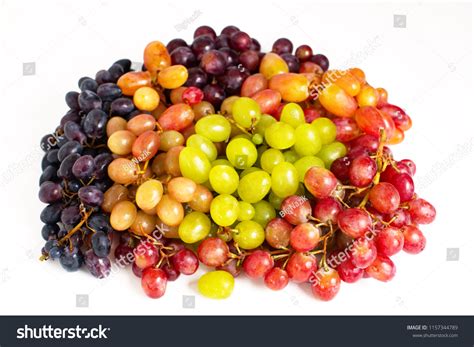 Many Different Grape Varieties Isolated On 스톡 사진 1157344789 | Shutterstock