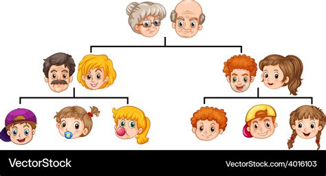 Family tree Royalty Free Vector Image - VectorStock