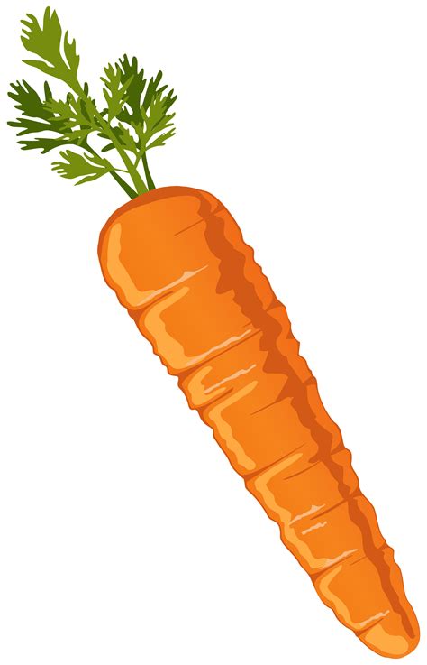 Carrot Vegetable Clip art - Carrot Clipart PNG Image png download ...