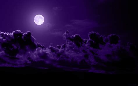 Dark Purple Wallpaper (73+ images)