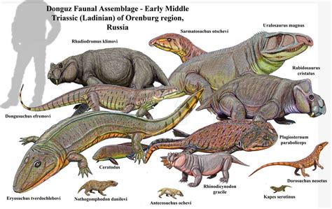 Triassic Marine Animals