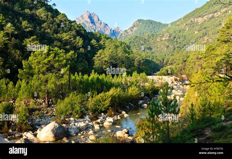 Mountains of Bavella, Corsica, France Stock Photo - Alamy