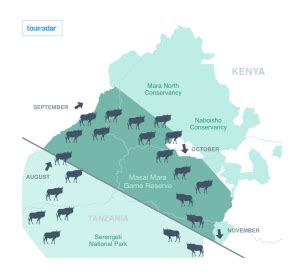 Masai Mara Maps: Location, Migration & Road Map - TourRadar