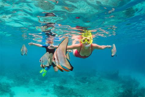 A Guide to Snorkeling in Kauai | Remax Kauai