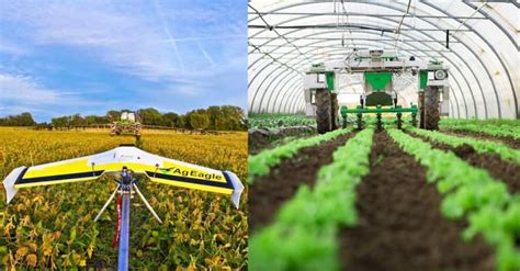 5 Robots That Are Changing Agriculture Forever