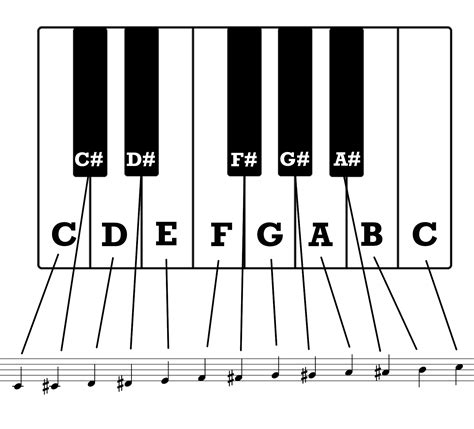 Music Theory Fundamentals: Chromatic Scale - Notes on a Guitar