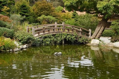 A small pond and a decorative wooden bridge in the Japanese garden in Saratoga | Stock Photo ...