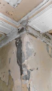 Is Painting Over Mold A Good Idea? | CLEAR Restoration