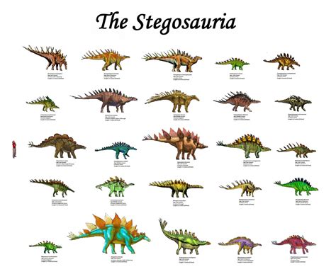 Dinosaur Chart With Names