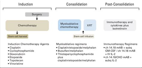 Figure 1 from Advances in Risk Classification and Treatment Strategies for Neuroblastoma ...