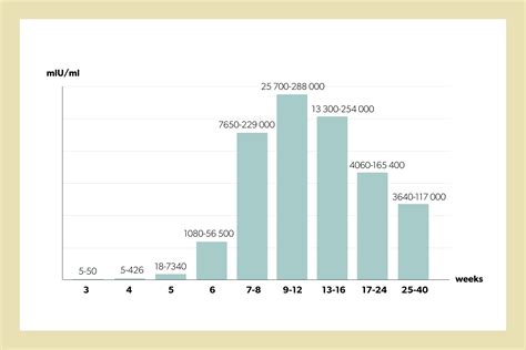 hCG Levels & Twins: Understanding a Pregnancy with Multiples